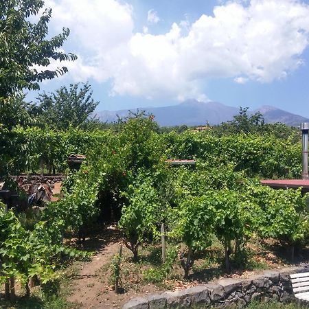 Sorbello Dell'Etna Villa Milo Buitenkant foto