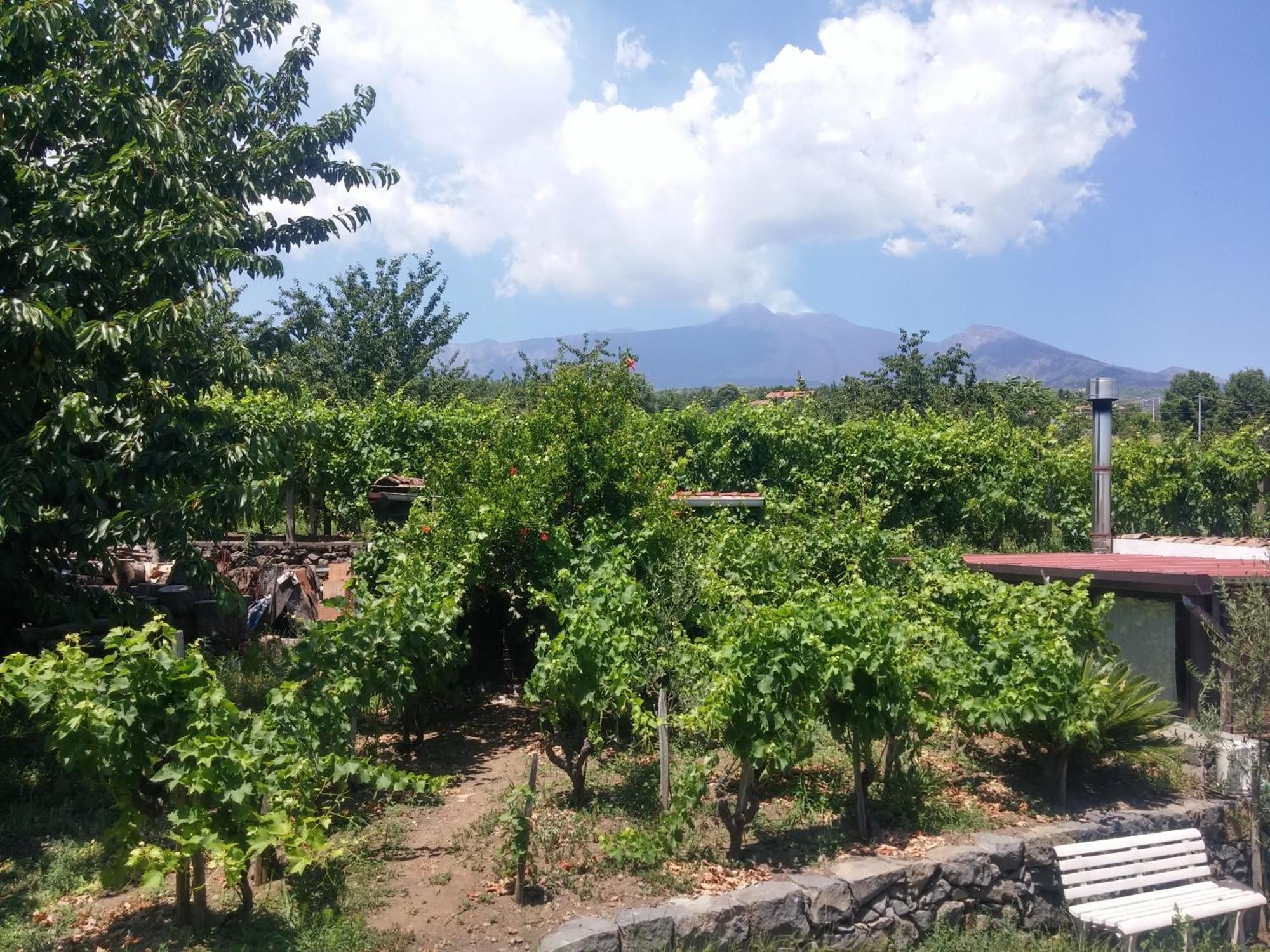 Sorbello Dell'Etna Villa Milo Buitenkant foto